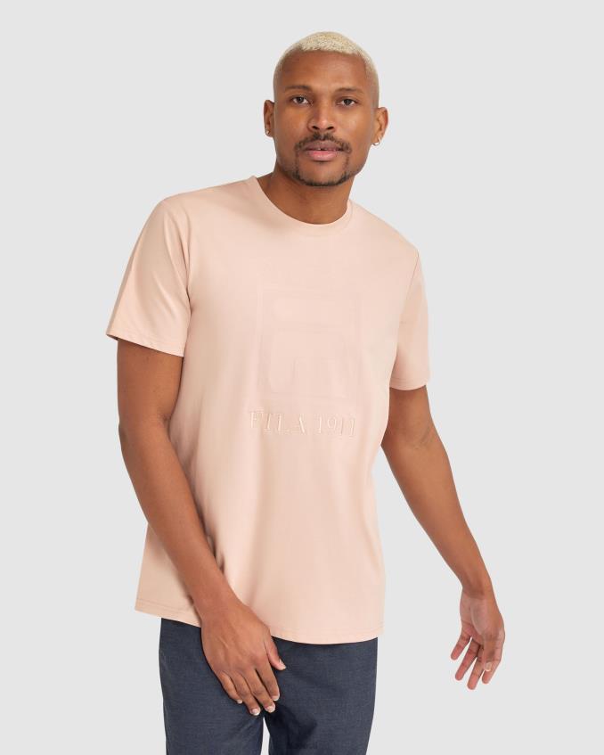 pähkel FILA meeste sahand tee pähkel fila L080L2405